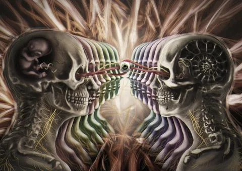 Psychedelic illustration of two skulls facing each other the dissolution of the Stock Illustration