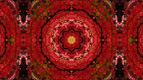 Psychedelic Kaleidoscope Stockbeeldmateriaal 36071817