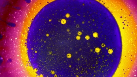 Psychedelic light show, patterns in water, oil, paint. Swirls, ink explosion. Stock Footage 122037715