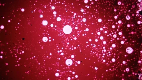 Psychedelic light show, patterns in water, oil, paint. Swirls, ink explosion. Stock Footage 122049011