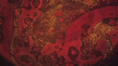 Psychedelic Liquid Light Show Stock Footage 46180789