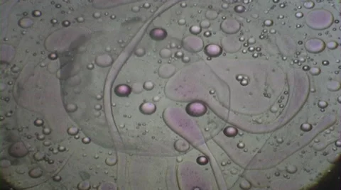 Psychedelic Liquid Light Show Stock Footage 46182564