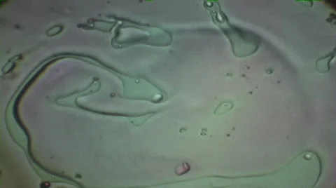 Psychedelic Liquid Light Show Stock Footage 46196973