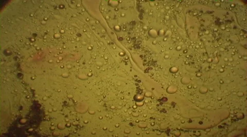 Psychedelic Liquid Light Show Stock Footage 46198989