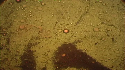 Psychedelic Liquid Light Show Stock Footage 46200117