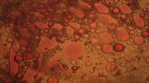 Psychedelic Liquid Light Show Stock Footage 46208361