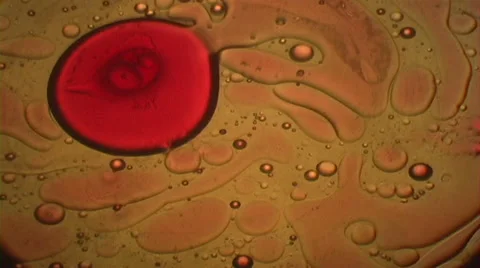 Psychedelic Liquid Light Show Stock Footage 46208913