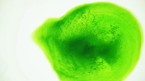 Psychedelic liquid light show, ink patterns in water, oil, paint. Green cell. Stock Footage 121705295