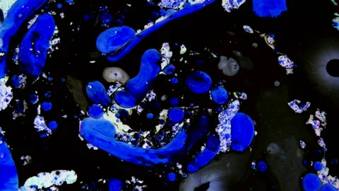 Psychedelic morphing liquid, bubbles, ink transition. Abstract grunge background Stock Footage 152339344