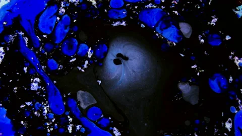 Psychedelic morphing liquid, bubbles, ink transition. Abstract grunge background Stock Footage 152344221