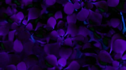 Psychedelic multicolored background of plants Stock Photos