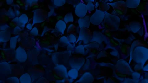 Psychedelic multicolored background of plants Stock Photos