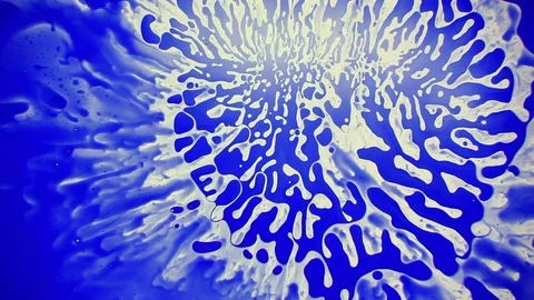 Psychedelic multicolored liquid light show, ink patterns in water, oil, paint Stock Footage 123832649