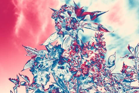 Psychedelic plants in negative (Pink, red, white, blue colors) Stock Illustration
