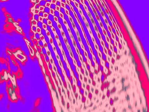 Psychedelic Purple Pink Abstract Dot Grid Texture with Cat Fur Motion Abstr.. Stock Photos
