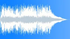 Psychedelic Subculture (WP) 05 MT 30 (mysterious, fun, surf, 60's, spy, guitar)) Stock Music