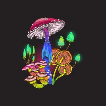 Psychedelic toadstools and fly agaric mushrooms vector illustration isolated. Illustrazione stock