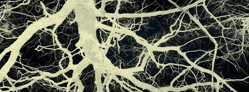 Psychedelic tree branches pattern for background Fotos Stock