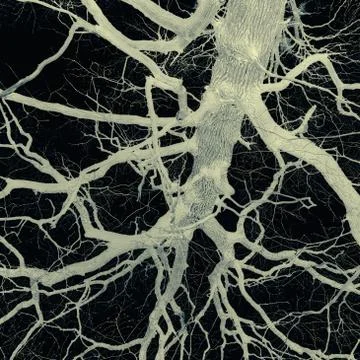 Psychedelic tree branches pattern for background Foto stock