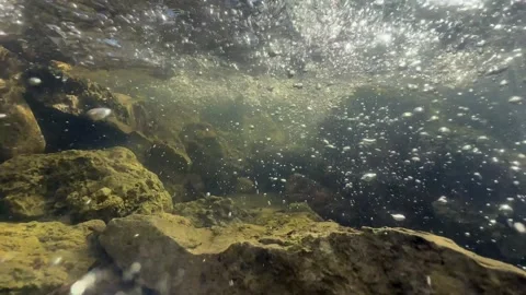 Psychedelic underwater shot of a shallow stream in Saaremaa, Estonia. Video stock 292275249