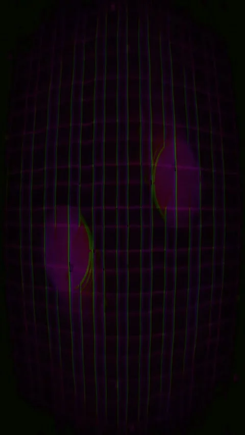 Psychedelic VJ Glitch 4K Vertical — Digital Distortion Loop Stock Footage 329679109