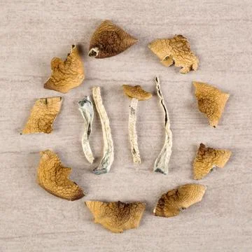 Psychoactive dry magic mushrooms. Stock Photos