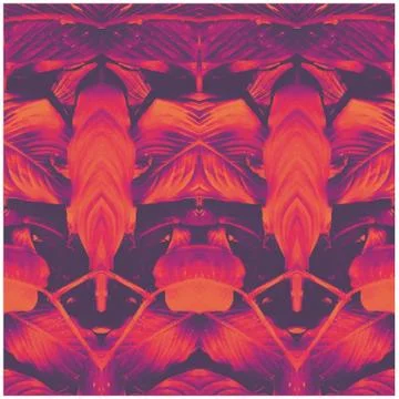 Psycothelic Plants Stock Photos