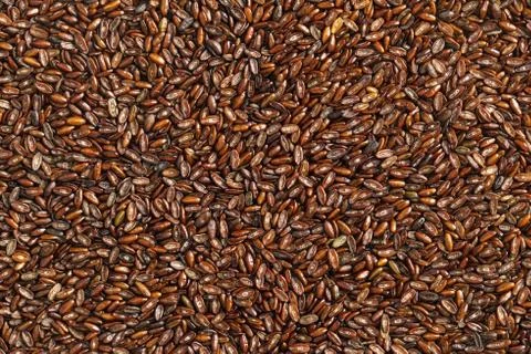 Psyllium seeds Stock Photos
