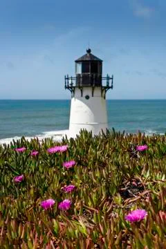 Pt Montara CA Lighthouse with Coastal Flowers Stock Photos