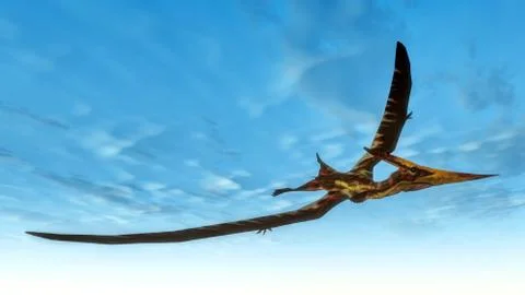 Pteranodon bird flying - 3D render Stock Illustration