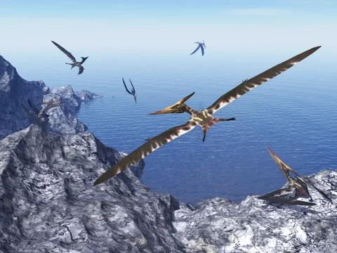 Pteranodon birds - 3D render Stock Illustration