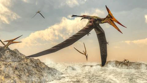 Pteranodon birds flying - 3D render Stock Illustration