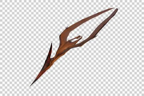 Pteranodon dinosaur diving to attack prey.. 3D illustration isolated. Stock Illustration