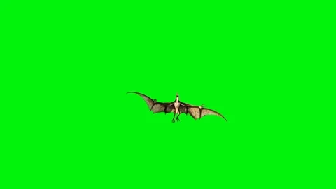 Pteranodon Dinosaurs Fly Attacks Dies Front Green Screen Markers 3D Rendering Stock Footage 89616100