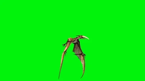 Pteranodon Dinosaurs Fly Front Green Screen 3D Rendering Animation Vidéo 89616118