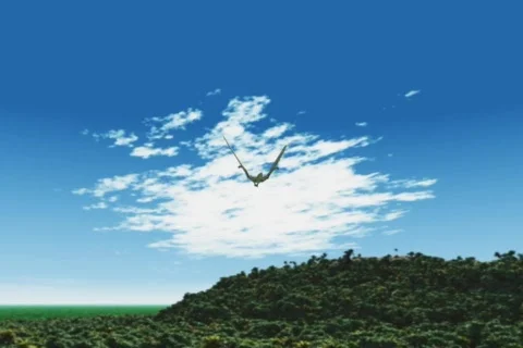 Pteranodon Stock Footage 83262