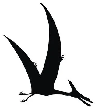Pteranodon Stock Illustration