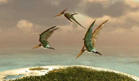 Pteranodon Island Stock Illustration