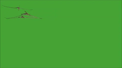 Pteranodon Movie Stock Footage 47882638