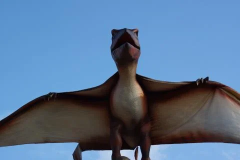 Pteranodon - Pteranodon longiceps Stock Photos