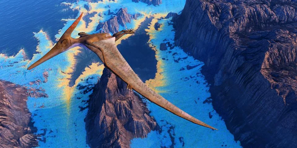 Pteranodon Reptile Stock Illustration