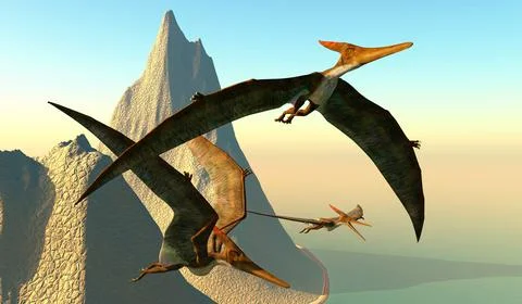 Pteranodon Shoreline Stock Illustration