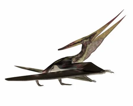 Pteranodon walking - 3D render Stock Illustration