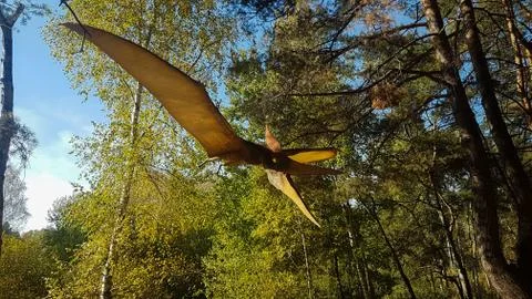 Pteranodons are a genus of pterosaurs that includes some of the largest known Stock Photos