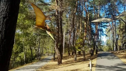 Pteranodons are a genus of pterosaurs that includes some of the largest known Stock Photos
