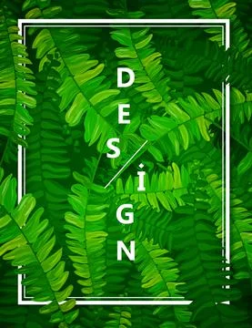 Pteridophyta leaves green pattern Stock Illustration