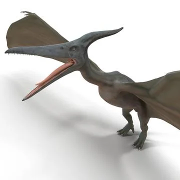 pterodactyl 3d google