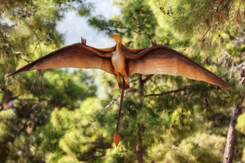 Pterodactyl dinosaur flying at forest Stock Photos