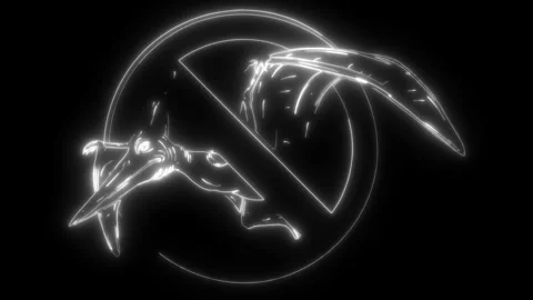 Pterodactyl dinosaur in white line on black background Stock Footage 276226957