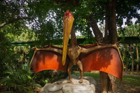 A Pterodactyl Dinosaur with wide open wings Stock Photos